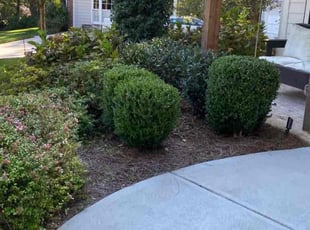 Cleanups by Cesar Ponce for TJ Y. in Dunwoody, GA