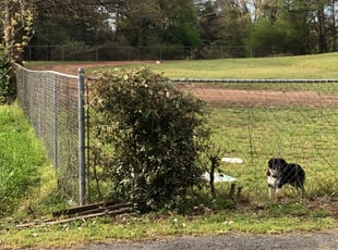 Bush Trimming by Easton Nelson for Akram K. in Marietta, GA