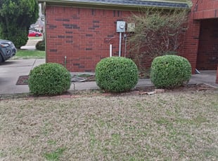 Bush Trimming by Elizabeth Cruz for Bryan L. in Plano, TX