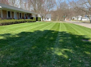Maraloy T.'s Yard Cutting service result