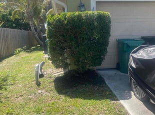 Bush Trimming by Victor Cisneros for Joacim i. in Port St. Lucie, FL