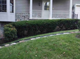 Bush Trimming by David Peters for Jaime R. in Vienna, VA