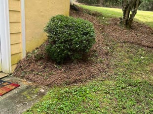 Bush Trimming by Rafael Ramirez for Curt I. in Lawrenceville, GA