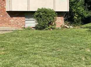 Bush Trimming by Bo Hickmon for Courtney I. in Lee's Summit, MO
