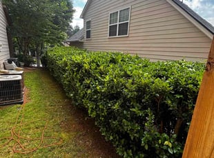 Venkata Y.'s Bush Trimming service result