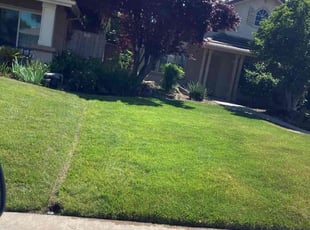 Jennifer W.'s Lawn Mowing Service service result