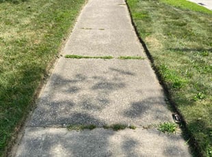 norvell C.'s Cleanups service result
