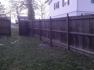 Leaf Removal by Paul Driver for Tyara A. in Greensboro, NC
