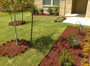 Landscaping by Jeffrey Davis for Lauren R. in San Antonio, TX