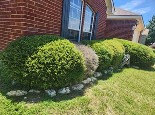 Brian R.'s Bush Trimming service result
