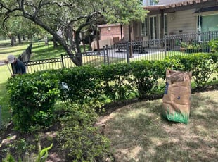 Bush Trimming by Gary Guzman for Candace T. in Sugar Land, TX