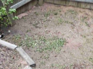 Leaf Removal by Virgil Greene for Rose G. in Fairburn, GA