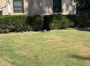 Landscaping by Imunique Hill for Kelly T. in Broken Arrow, OK