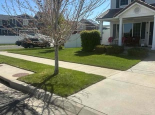 Lawrence R.'s Grass Cutting service result