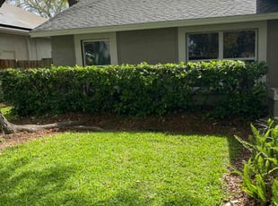 Bush Trimming by Jacob Hernandez for Stacey A. in Tampa, FL
