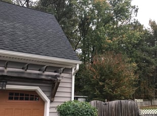 Bush Trimming by Robert Collins for Bob N. in Richmond, VA