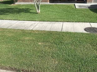 Nancy H.'s Lawn Mowing service result