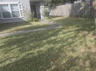 Ericka M.'s Lawn Care service result