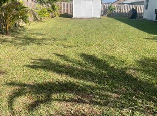Darrius R.'s Lawn Care service result