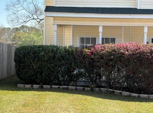 Bush Trimming by Robert LaVecchia for Brandon W. in North Charleston, SC
