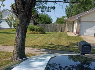 Lisa G.'s Yard Cutting service result