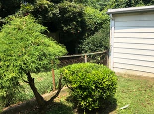 Bush Trimming by Darren Burch for Vivian W. in Philadelphia, PA