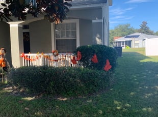 Bush Trimming by Curtis Crawford for Paris H. in Riverview, FL