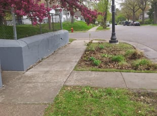 Cleanups by David Gallaway for Tianna J. in Saint Paul, MN