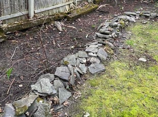 Leaf Removal by Andrew Rotelli for Jean J. in Syracuse, NY
