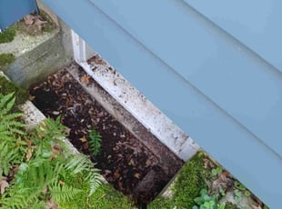 Cleanups by Kevin Rhyne for Jill K. in Madison, WI