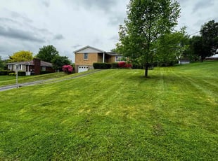 Sunj D.'s Lawn Mowing service result