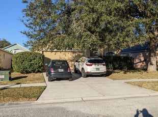 Bush Trimming by Louis Reele for Karen A. in Valrico, FL