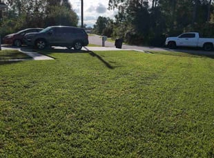Marci G.'s Lawn Mowing service result
