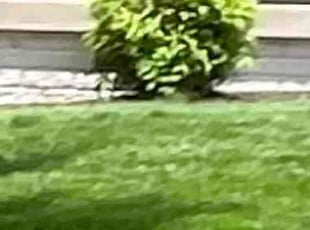 Zach F.'s Bush Trimming service result