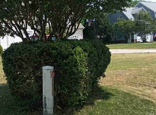 Bush Trimming by Darrell Pratt for Steve S. in Garner, NC