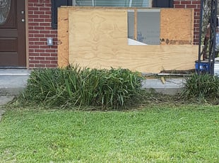 Bush Trimming by Dedrionne Stembridge for Shalacia L. in New Orleans, LA