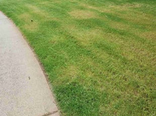 Michael J.'s Cleanups service result