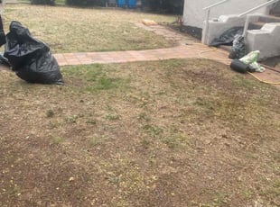 shelley m.'s Cleanups service result