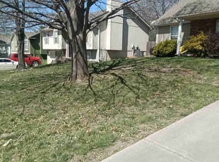 Leaf Removal by Julio Almestica for Jessica L. in Independence, MO