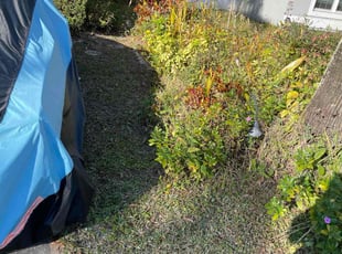Weeding by Jaylon Fair for Katreena C. in Ocoee, FL