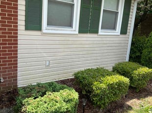 Patricia J.'s Cleanups service result