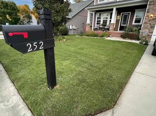 Monica B.'s Lawn Service service result