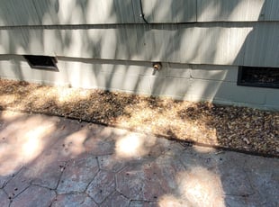 Leaf Removal by S.A. .W. for Nicolas A. in Norfolk, VA
