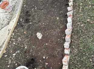 Weeding by Alfredo Cisneros for Steven C. in Aubrey, TX