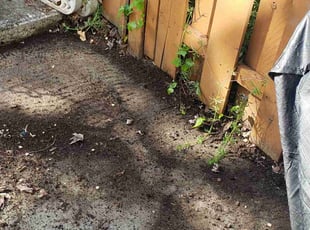 Leaf Removal by Artavius Clark for Michelle P. in Temple Hills, MD