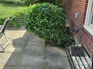 Bush Trimming by Fidel Rodriguez for Michelle G. in Springfield, VA