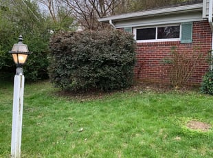 Bush Trimming by Matthew Rutledge for Matt W. in Richmond, VA