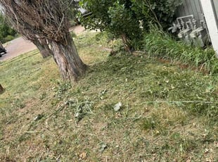 Cleanups by Tony Roma for Linsey H. in Golden, CO