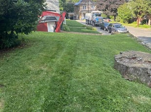 Frank V.'s Lawn Service service result