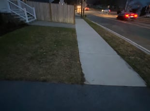 Leaf Removal by Ricardo Lopez for Kyle R. in Melrose, MA